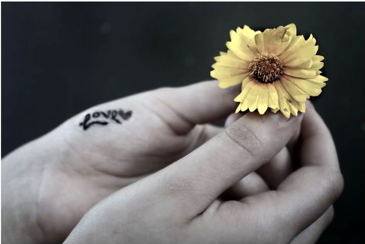 Photography, by me. Pictures, Images and Photos