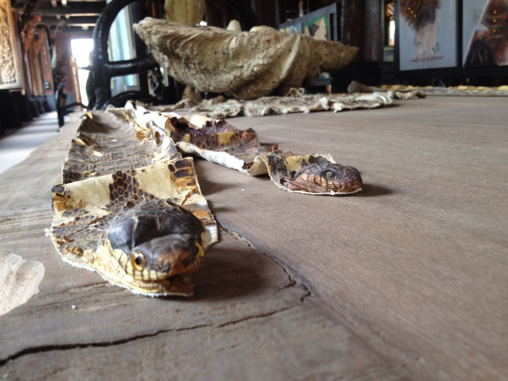 snake table runners