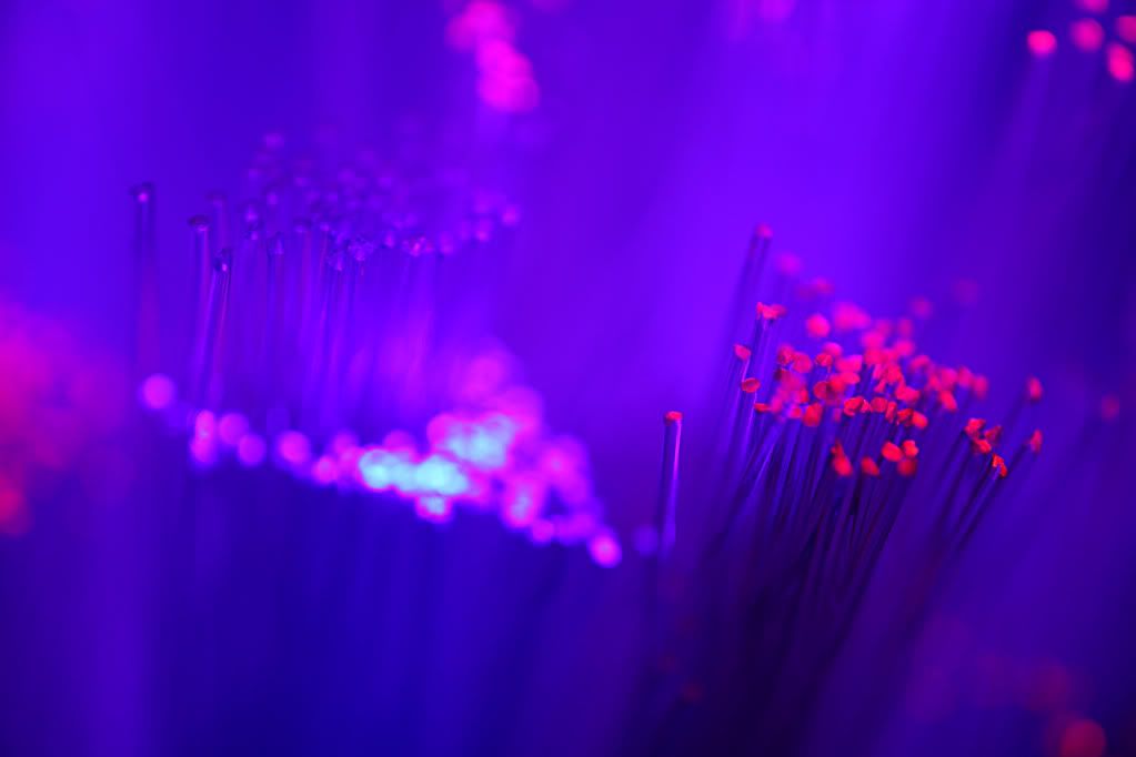 fibre optic