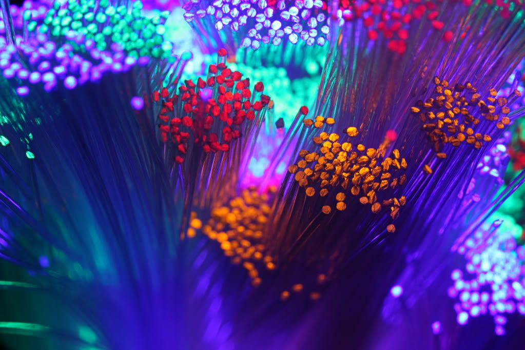 Fibre Optics 4 (c) PedroWilsoni fibre optic