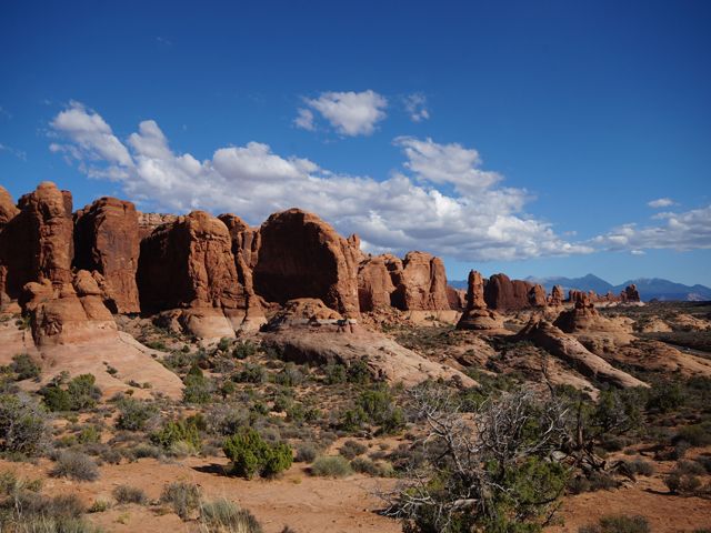 Arches National Park - EEUU: Pioneros, Cowboys y Motards (5 Estados) (15)