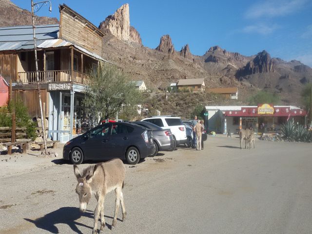 Ruta 66: Seligman-Kingman-Oatman - EEUU: Pioneros, Cowboys y Motards (5 Estados) (19)