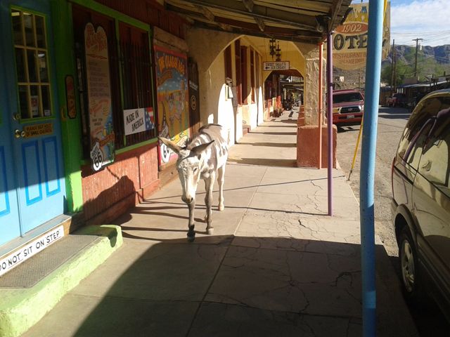Ruta 66: Seligman-Kingman-Oatman - EEUU: Pioneros, Cowboys y Motards (5 Estados) (18)