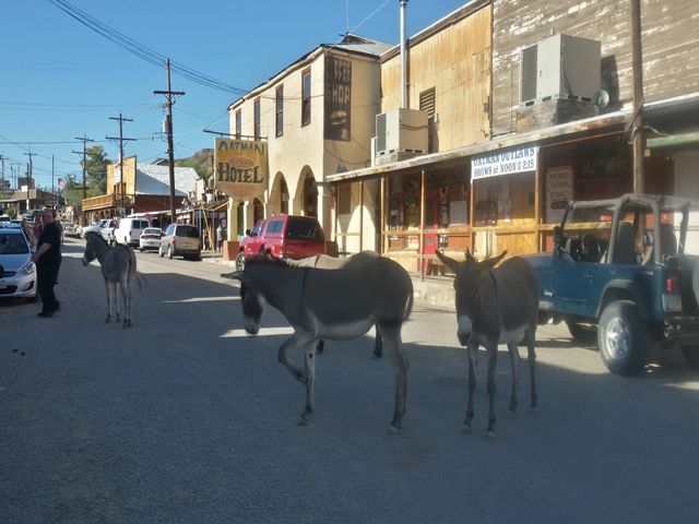 Ruta 66: Seligman-Kingman-Oatman - EEUU: Pioneros, Cowboys y Motards (5 Estados) (21)