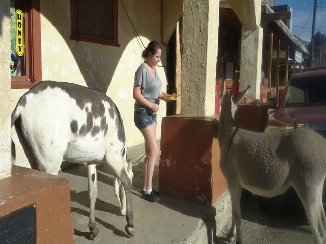 Ruta 66: Seligman-Kingman-Oatman - EEUU: Pioneros, Cowboys y Motards (5 Estados) (22)