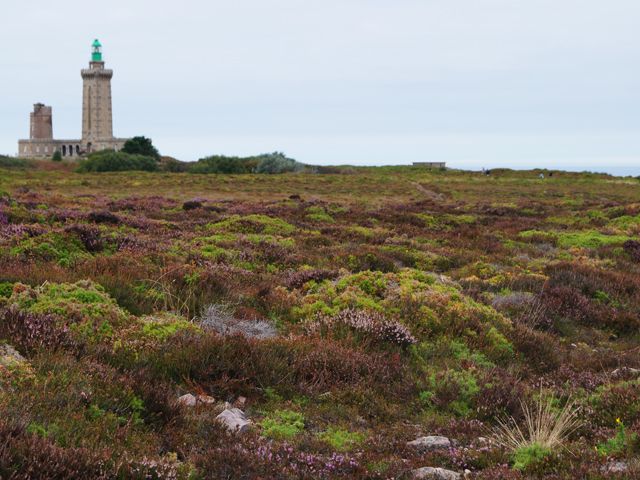 Fréhel - Fort La Latte - Moncontour - Bretaña, Normandía y más - verano 2013 (2)