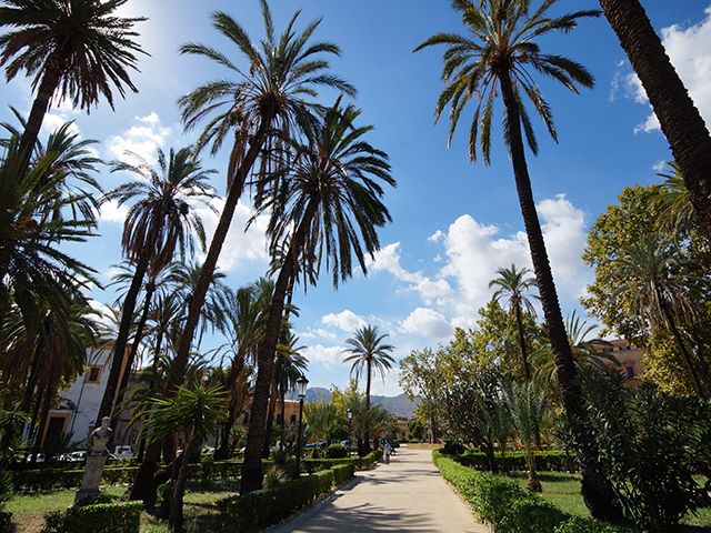 Sicilia - Costa a costa en otoño 2016 - Blogs de Italia - Palermo (22)