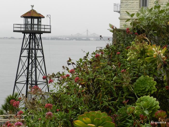 Costa Oeste en Octubre 2011 - Blogs de USA - Día 3:San Francisco: Visita al Best Buy y Alcatraz (3)