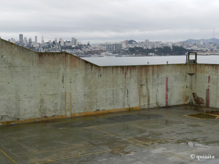 Costa Oeste en Octubre 2011 - Blogs de USA - Día 3:San Francisco: Visita al Best Buy y Alcatraz (8)