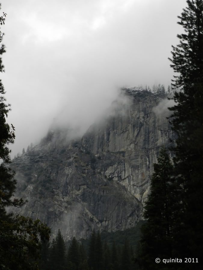 Costa Oeste en Octubre 2011 - Blogs de USA - Día 5: Yosemite (15)