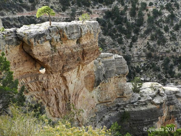 Día 14: Amanecer en Monument Valley y Grand Canyon - Costa Oeste en Octubre 2011 (5)