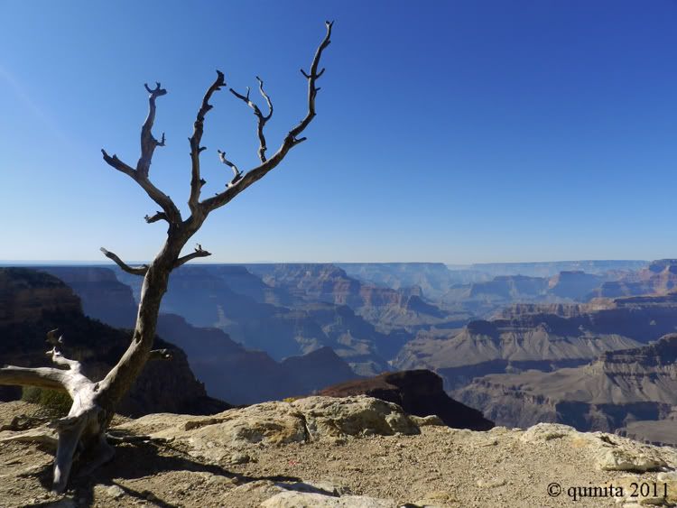 Día 14: Amanecer en Monument Valley y Grand Canyon - Costa Oeste en Octubre 2011 (7)