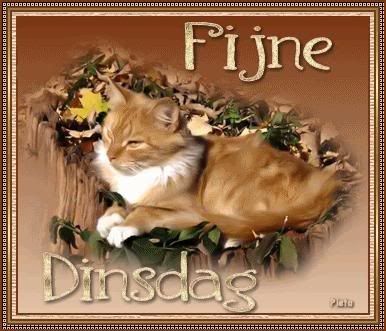 fijne dinsdag photo: Fijne Dinsdag fijnedinsdag.jpg