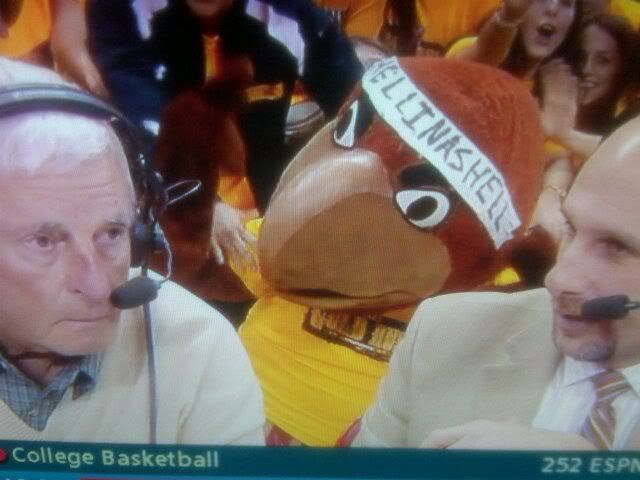 Testudo photobomb