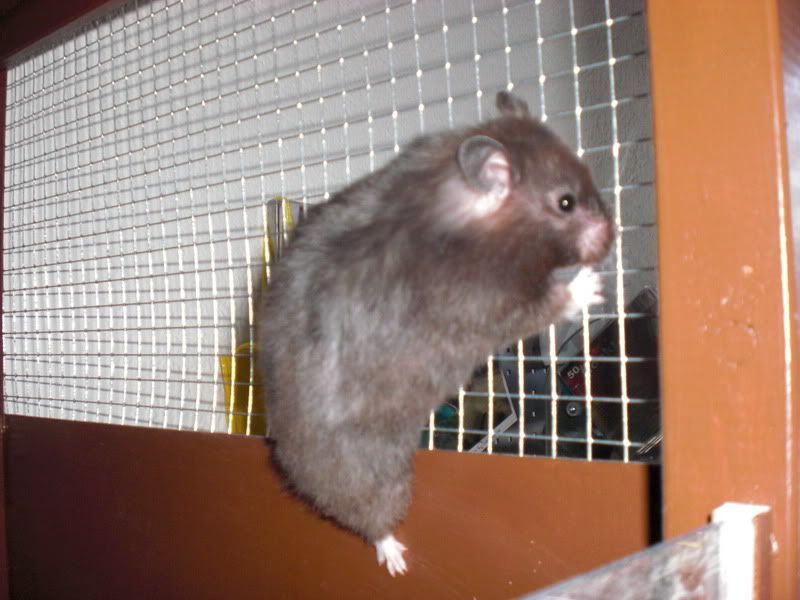 CIMG0761.jpg