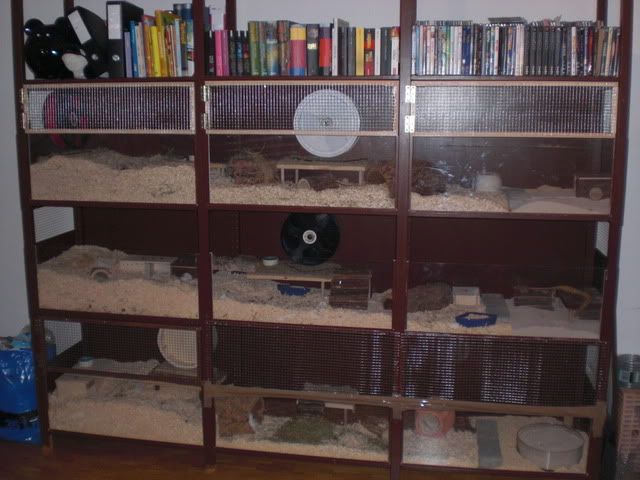 CIMG0799.jpg