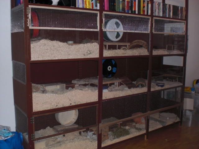 CIMG0800.jpg
