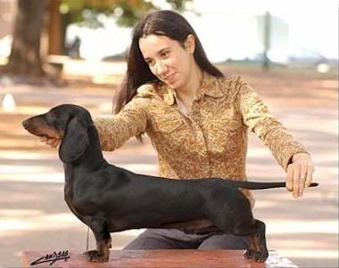 razas de perros razas de perros