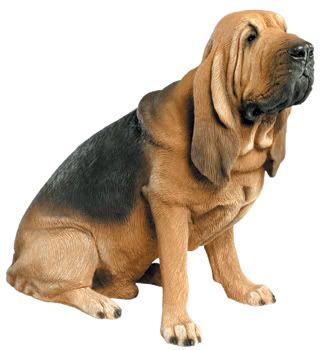perros perros