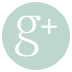 Google+ Icon