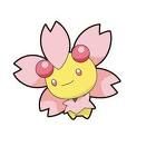[PokeCommunity.com] *** Cherrim & Cherubi Fan Club***