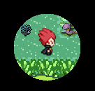 Pokemon Black Idea