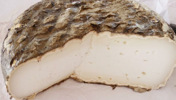 Queso-Garrotxa