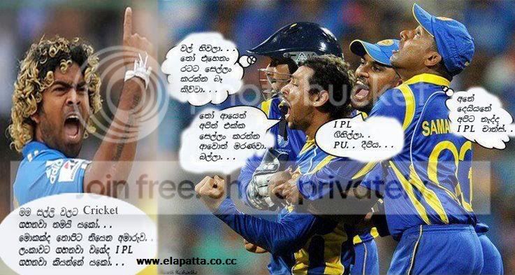 IPL.jpg
