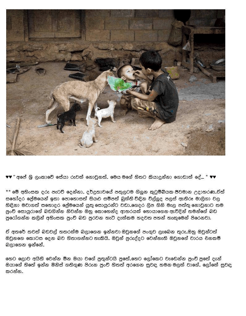 ayya.gif